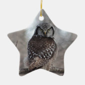 Noordelijke Hawk Owl Keramisch Ornament (Voorkant)