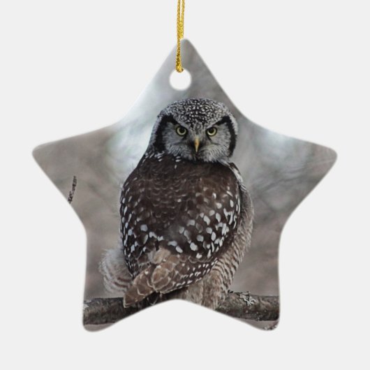 Noordelijke Hawk Owl Keramisch Ornament (Voorkant)