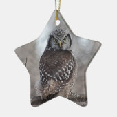 Noordelijke Hawk Owl Keramisch Ornament (Links)