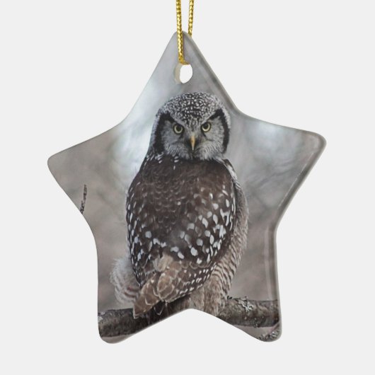 Noordelijke Hawk Owl Keramisch Ornament (Links)