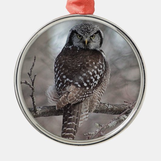 Noordelijke Hawk Owl Metalen Ornament (Voorkant)