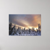 noordelijke hemel canvas afdruk (Voorkant)