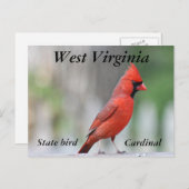 Noordelijke Hoofdfoto Briefkaart (Voorkant / Achterkant)