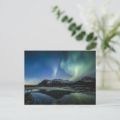 Noordelijke hooglichten Lofoten Briefkaart (Staand voorkant)