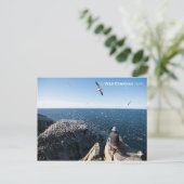 Noordelijke kanen briefkaart (Staand voorkant)