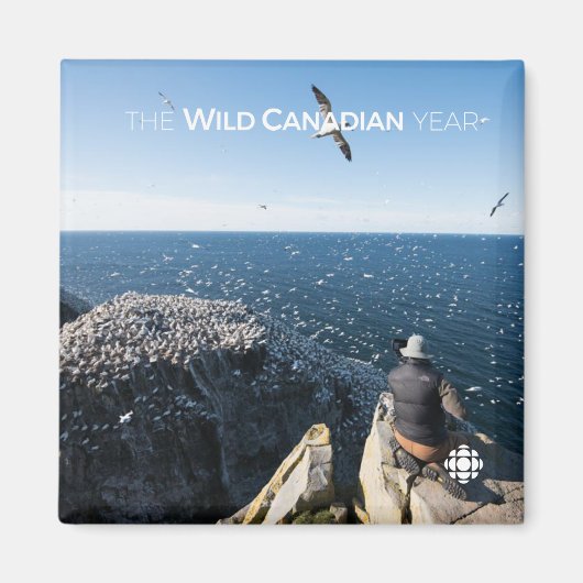 Noordelijke kanen magneet (Voorkant)