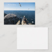 Noordelijke kanen notitiekaartje (Voorkant / Achterkant)