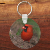 Noordelijke Kardinaal 2 Sleutelhanger (Voorkant)