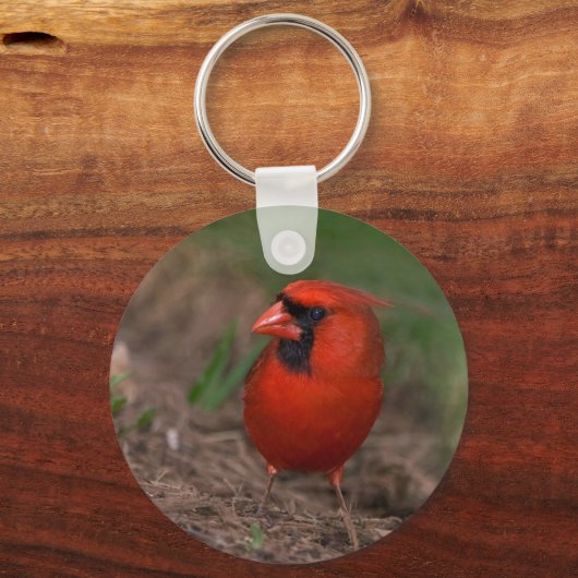 Noordelijke Kardinaal 2 Sleutelhanger (Voorkant)