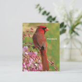 noordelijke kardinaal briefkaart (Staand voorkant)