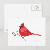 noordelijke kardinaal briefkaart (Voorkant / Achterkant)