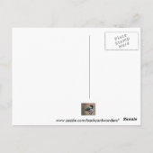 Noordelijke kardinaal briefkaart (Achterkant)