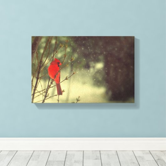 noordelijke kardinaal canvas afdruk (Insitu (Houten vloer))