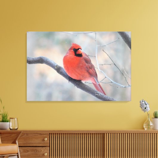 Noordelijke kardinaal (Cardinal Creek) gewikkeld d Canvas Afdruk (Insitu (Woonkamer))