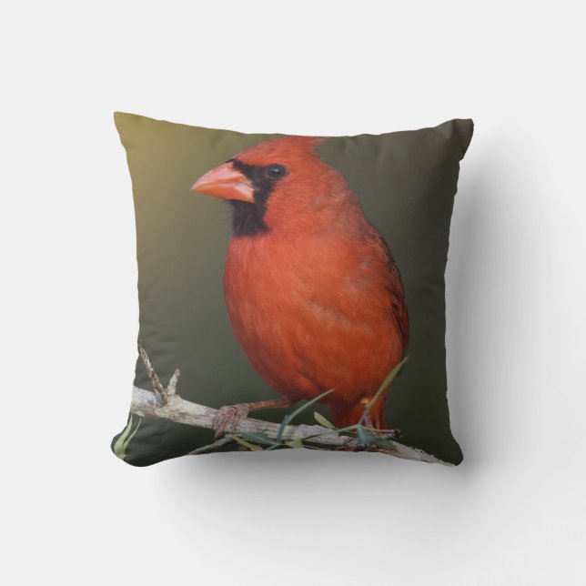 Noordelijke Kardinaal, Cardinalis cardinalis, mann Kussen (Voorkant)