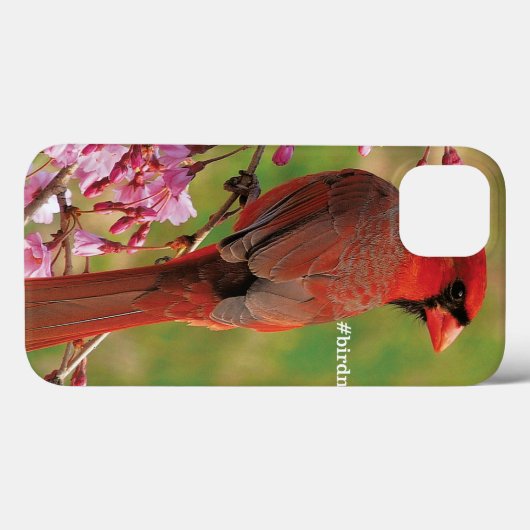 noordelijke kardinaal Case-Mate iPhone case (Achterkant (horizontaal))