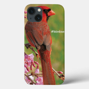 noordelijke kardinaal iPhone 13 hoesje