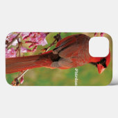 noordelijke kardinaal Case-Mate iPhone case (Achterkant (horizontaal))