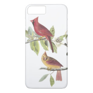 Noordelijke Kardinaal door Audubon Case-Mate iPhone Case
