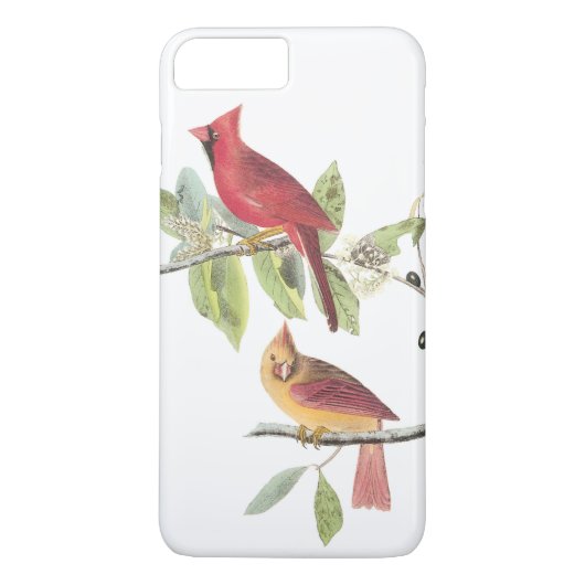 Noordelijke Kardinaal door Audubon Case-Mate iPhone Case (Achterkant)
