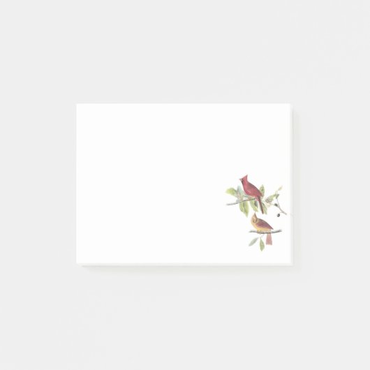 Noordelijke Kardinaal door Audubon Post-it® Notes (Voorkant)