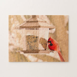 Noordelijke Kardinaal en Vogelveerbak - Puzzel