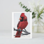 noordelijke kardinaal feestdagenkaart (Staand voorkant)