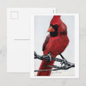 noordelijke kardinaal feestdagenkaart (Voorkant / Achterkant)