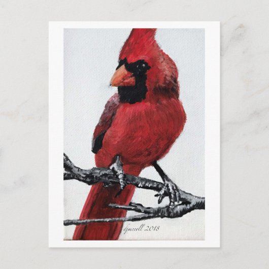 noordelijke kardinaal feestdagenkaart (Voorkant)
