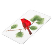 Noordelijke Kardinaal Flexi Magnet Magneet (Linkerzijde)