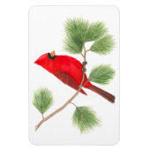 Noordelijke Kardinaal Flexi Magnet Magneet (Verticaal)
