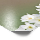 noordelijke kardinaal foto afdruk (Hoek)