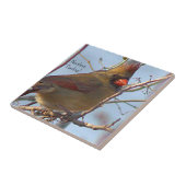 Noordelijke Kardinaal Foto Tegel Tegeltje (Zijkant)