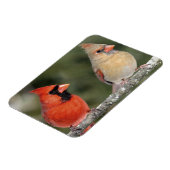 Noordelijke Kardinaal Fotografie Flexibele Magneet (Linkerzijde)