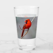 Noordelijke kardinaal glas