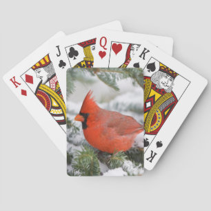 Noordelijke kardinaal in balsamzilverspar in de wi pokerkaarten