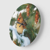 Noordelijke Kardinaal in boom, Illinois Grote Klok (Hoek)