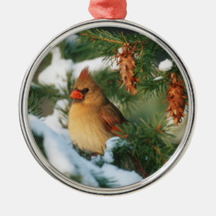 Noordelijke Kardinaal in boom, Illinois Metalen Ornament