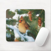 Noordelijke Kardinaal in boom, Illinois Muismat (Met muis)