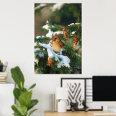 Noordelijke Kardinaal in boom, Illinois Poster (Thuiskantoor)