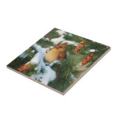 Noordelijke Kardinaal in boom, Illinois Tegeltje (Zijkant)