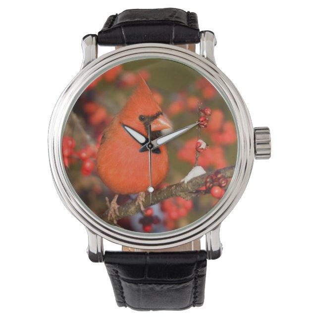 Noordelijke Kardinaal in Common Winterberry Horloge (Voorkant)