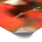 Noordelijke Kardinaal in Common Winterberry Poster (Hoek)