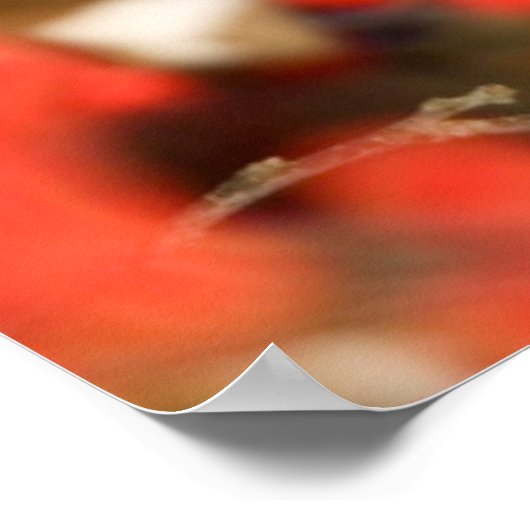 Noordelijke Kardinaal in Common Winterberry Poster (Hoek)