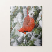 Noordelijke Kardinaal in de Balsam-boom in de wint Legpuzzel (Verticaal)