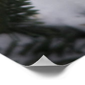 Noordelijke Kardinaal in de Balsam-boom in de wint Poster (Hoek)