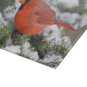 Noordelijke Kardinaal in de Balsam-boom in de wint Snijplank (Hoek)