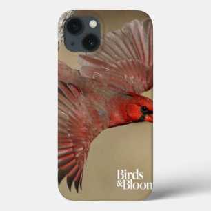 noordelijke kardinaal in de vlucht Case-Mate iPhone case
