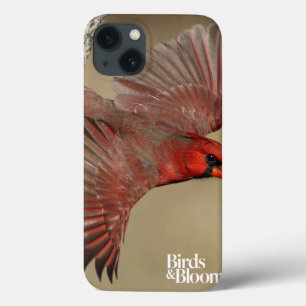 noordelijke kardinaal in de vlucht Case-Mate iPhone case