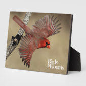 noordelijke kardinaal in de vlucht fotoplaat (Zijkant)